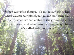 March Post_Pema Chodron